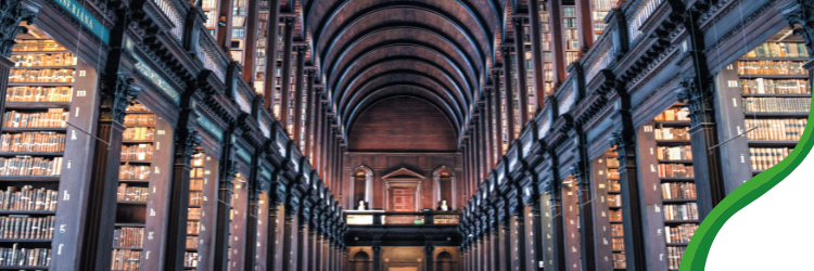 Square (1) Servicios