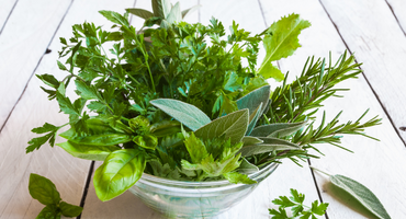 8 plantas perfectas para tu cocina 3