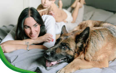 ¿Cómo mantener limpio un hogar con mascotas?