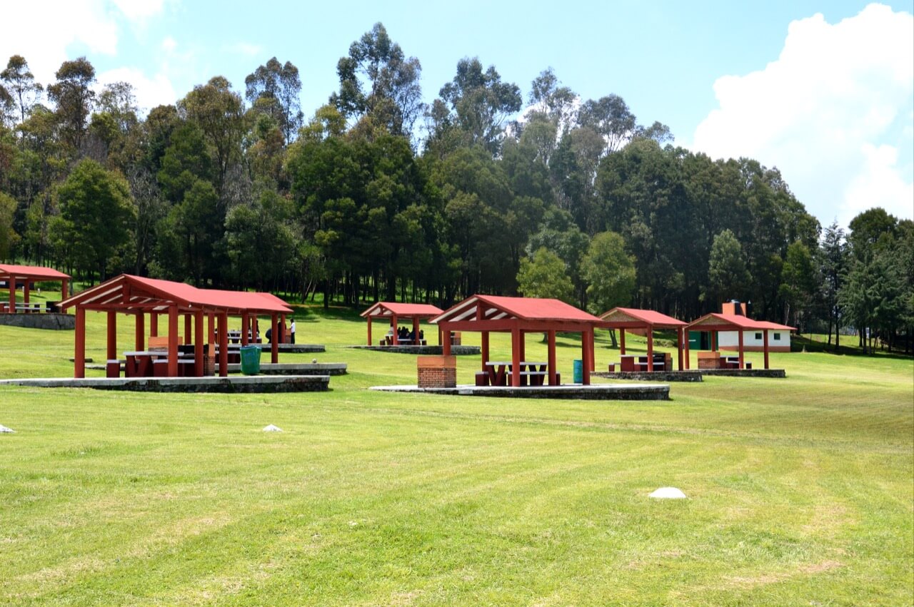 Ajolotario del Parque de la Ciencia Sierra Morelos 3