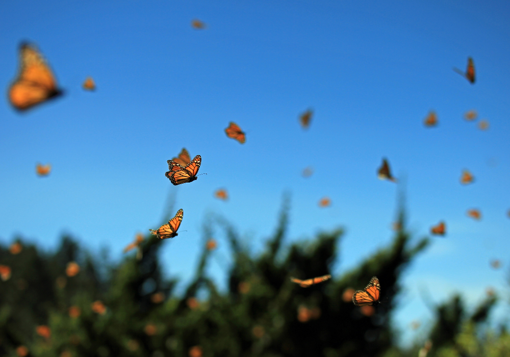 Actividades al aire libre muy cerca de Toluca 4