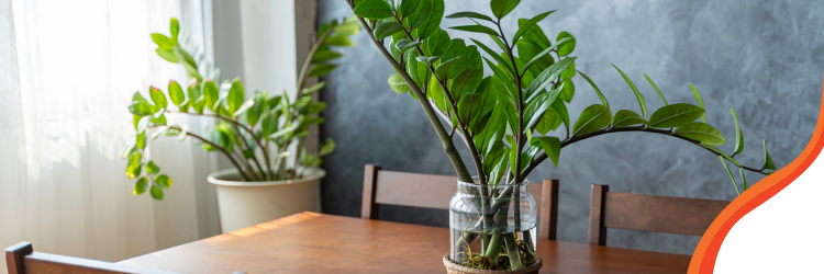 Cómo mantener fresca tu casa durante la época de calor 1