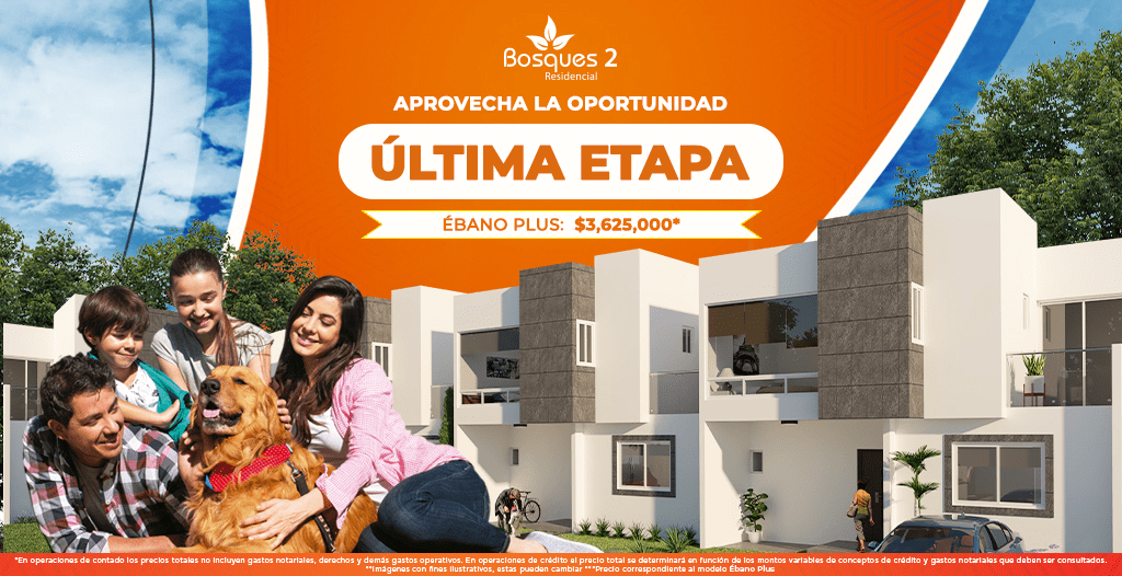 Modelo Ébano Plus 1